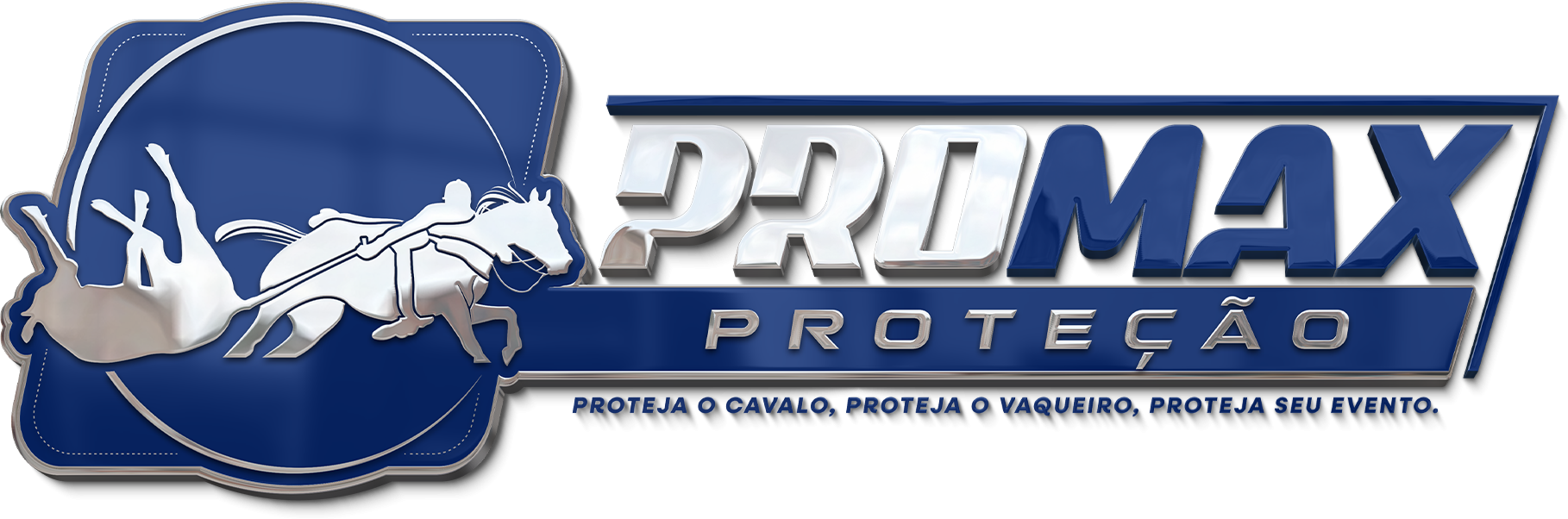 Cliente Onclique Digital - Promax Proteção